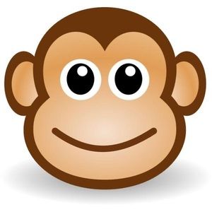 Meet your Posher, Radlynn